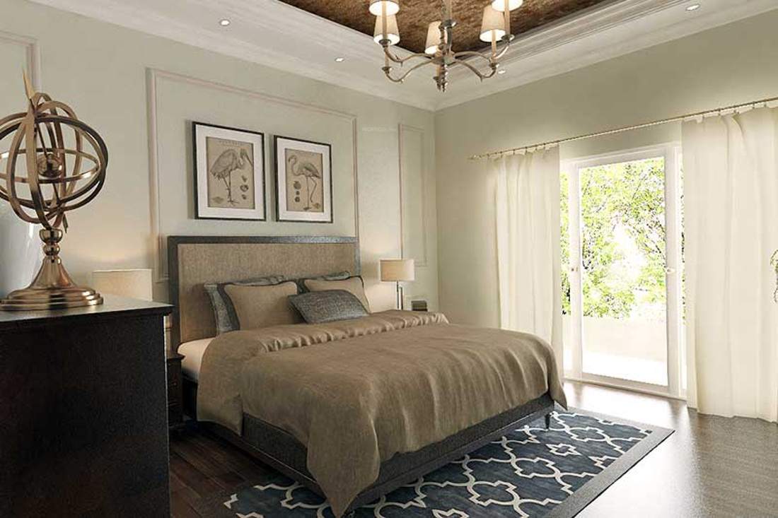 blue petals Images for Main Other of MSR Blue Petals