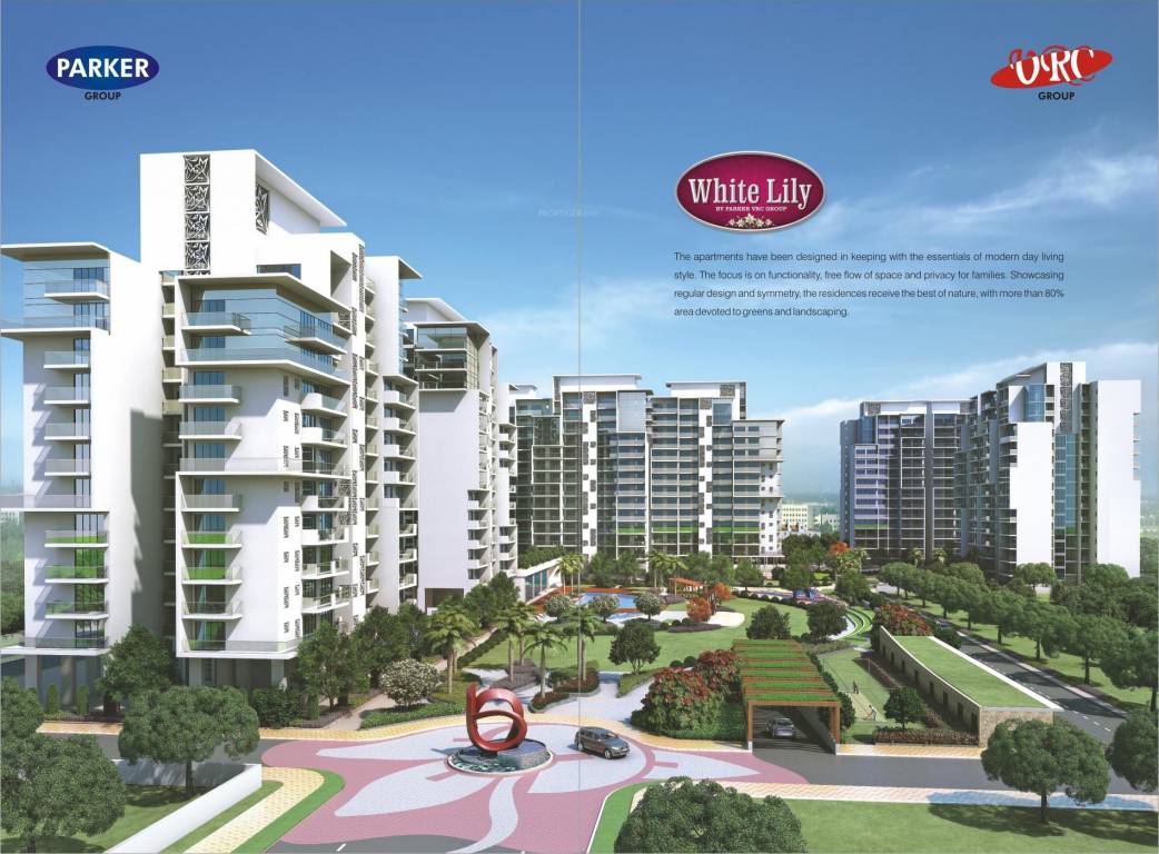 Images for Elevation of Parker White Lily