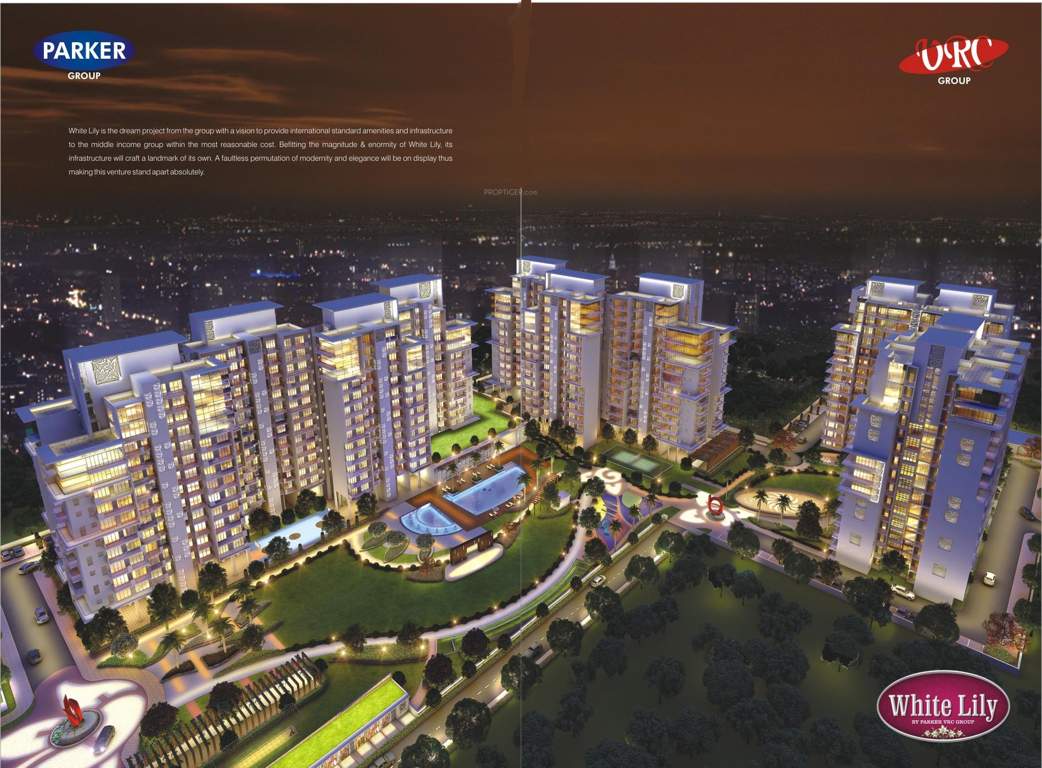  white lily Images for Elevation of Parker White Lily