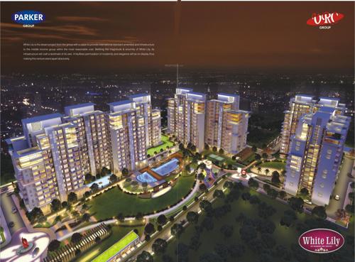 Images for Elevation of Parker White Lily white-lily Images for Elevation of Parker White Lily