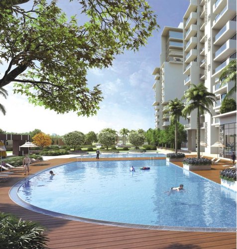 Images for Amenities of Parker White Lily Images for Amenities of Parker White Lily