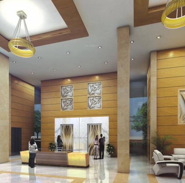 Images for Main Other of Parker White Lily Images for Main Other of Parker White Lily