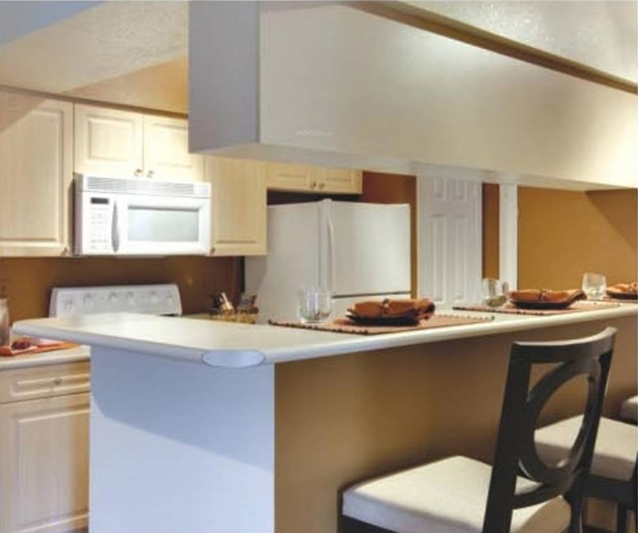 Images for Main Other of Parker White Lily