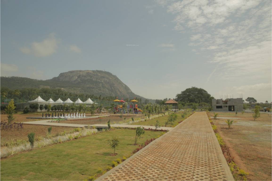 Images for Amenities of Citrus Belmont Villas