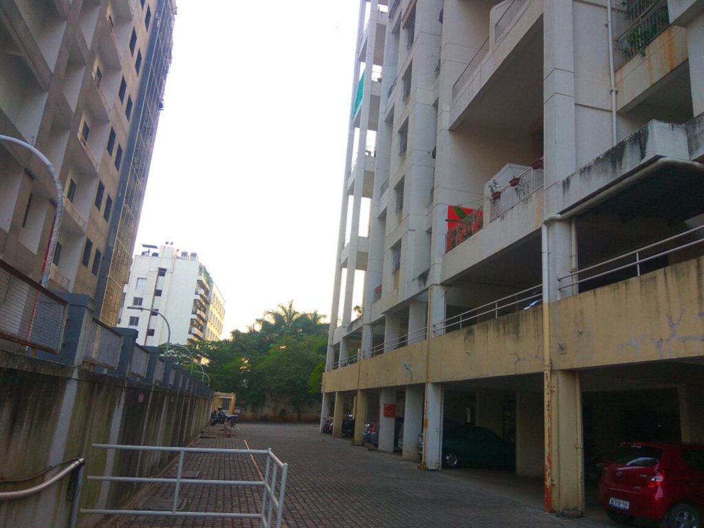 camellia apartment Elevation