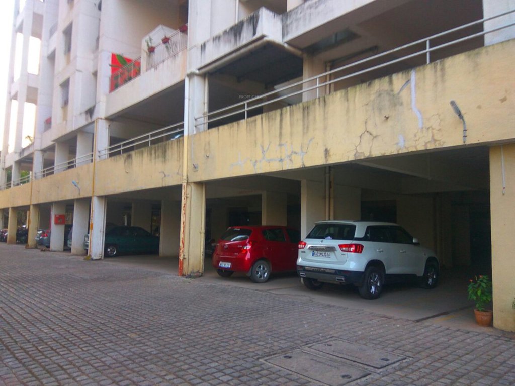 camellia apartment Others