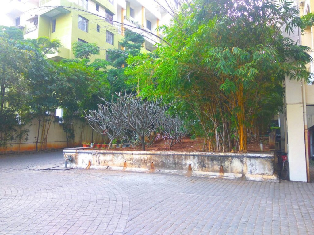 camellia apartment Others