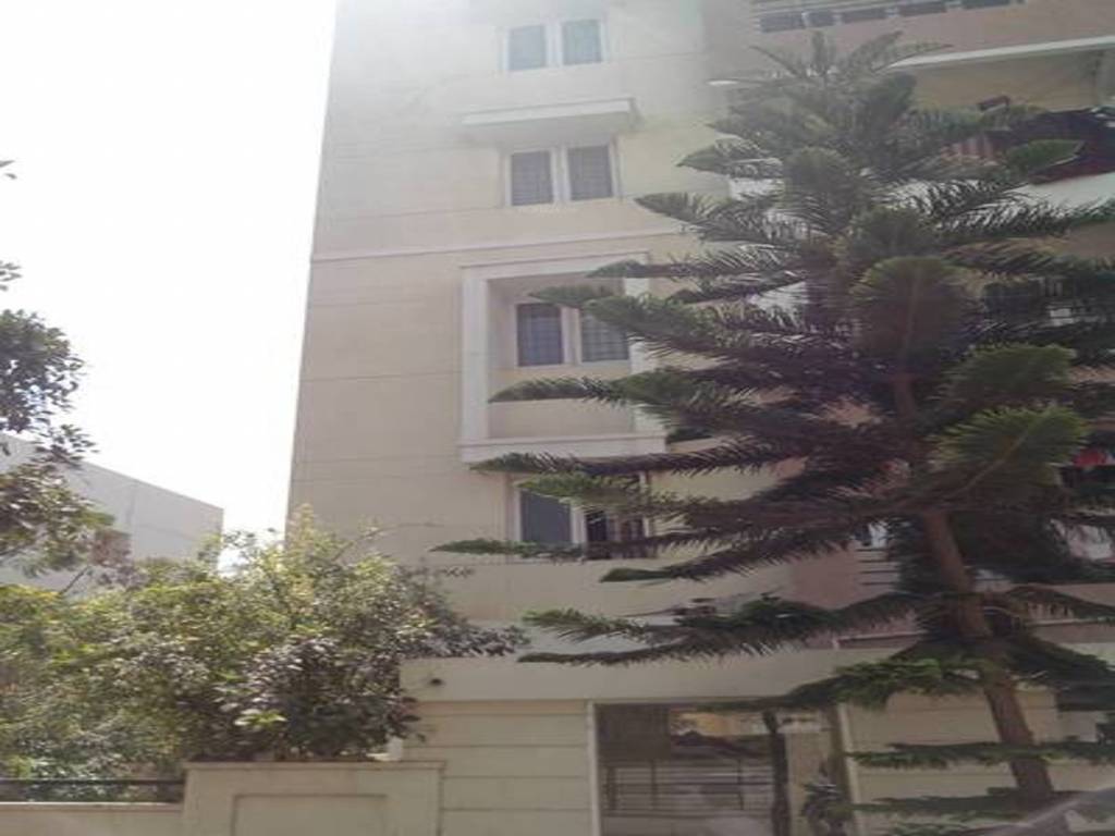 Images for Elevation of Vars Builders Stone Ridge