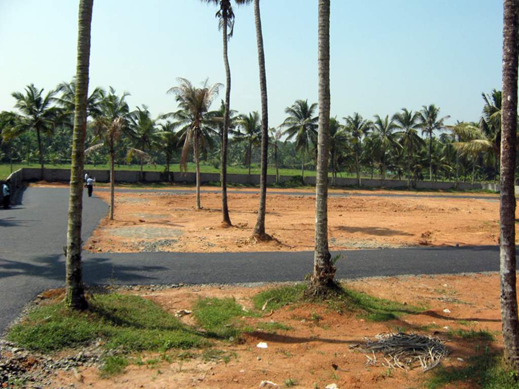 gardens Images for Main Other of Coral Gardens