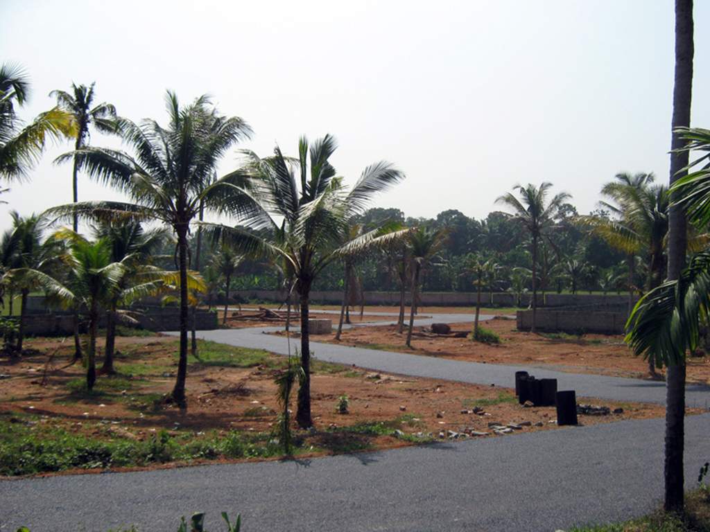 gardens Images for Main Other of Coral Gardens