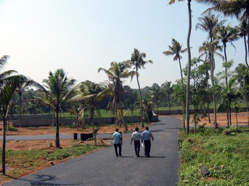 Images for Main Other of Coral Gardens gardens Images for Main Other of Coral Gardens