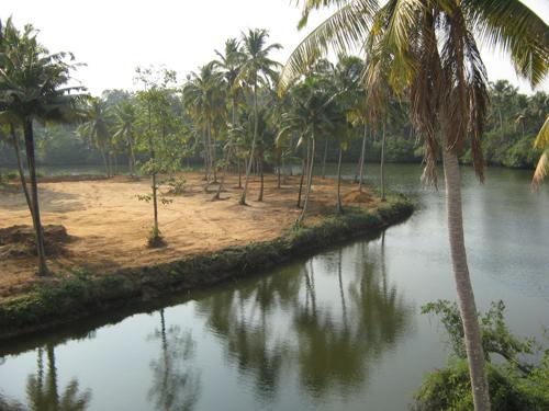 Images for Main Other of Coral Amazon amazon Images for Main Other of Coral Amazon