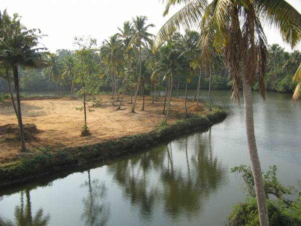 Main Other coral-group amazon-villas Main Other