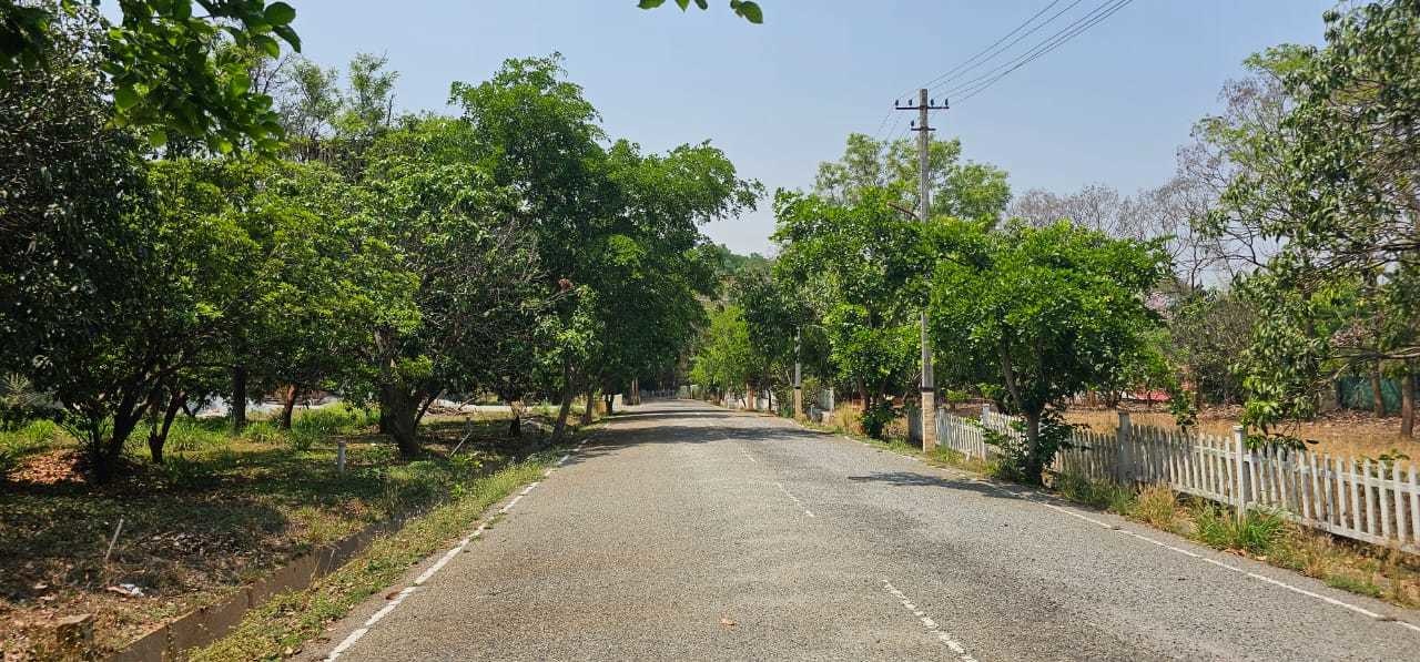 prakruthi Plot