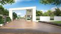 Azven Realty Back to Life