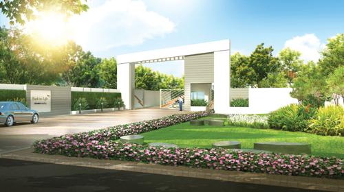  back-to-life Images for Main Other of Azven Back to Life