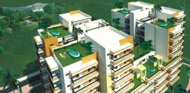 Images for Elevation of Galaxy Palm Height Images for Elevation of Galaxy Palm Height