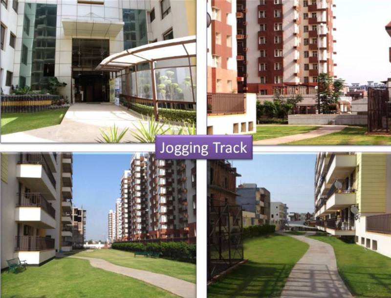 Images for Amenities of Galaxy Palm Height