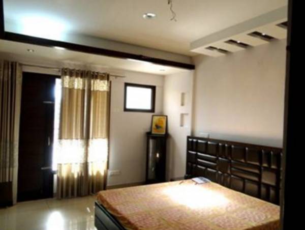 Images for Main Other of Galaxy Palm Height