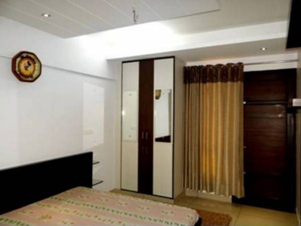 Images for Main Other of Galaxy Palm Height