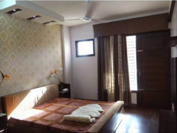 Images for Main Other of Galaxy Palm Height