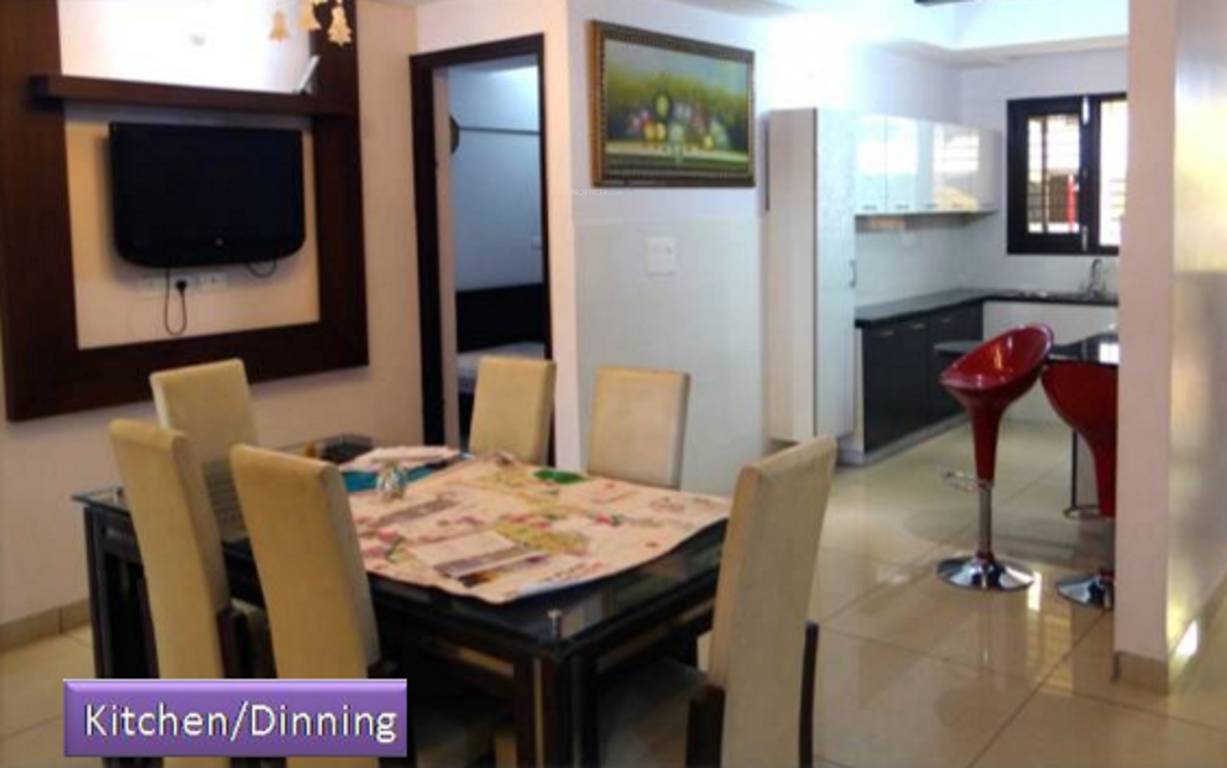 Images for Main Other of Galaxy Palm Height