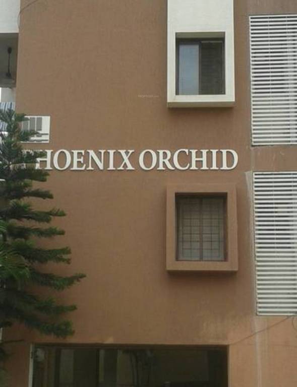 Images for Elevation of Phoenix Orchid