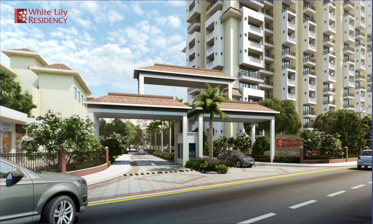 Images for Main Other of Parker White Lily Residency