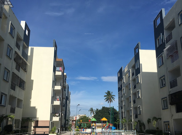 summer fields Images for Project