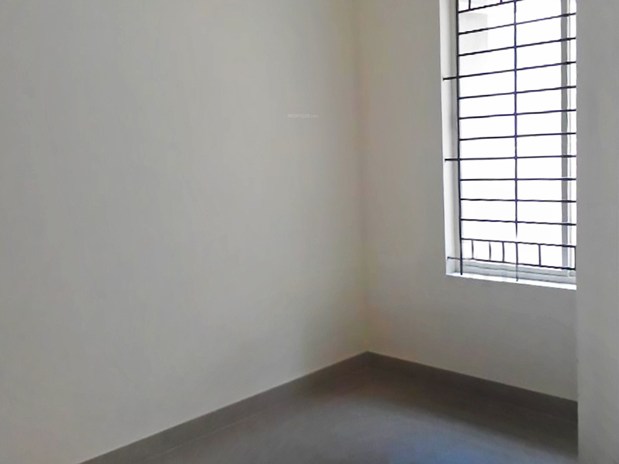 coral group atius Main Other