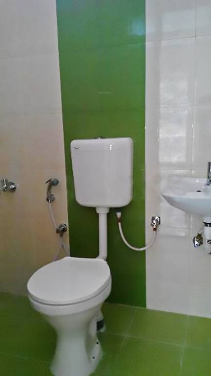 coral group atius Main Other