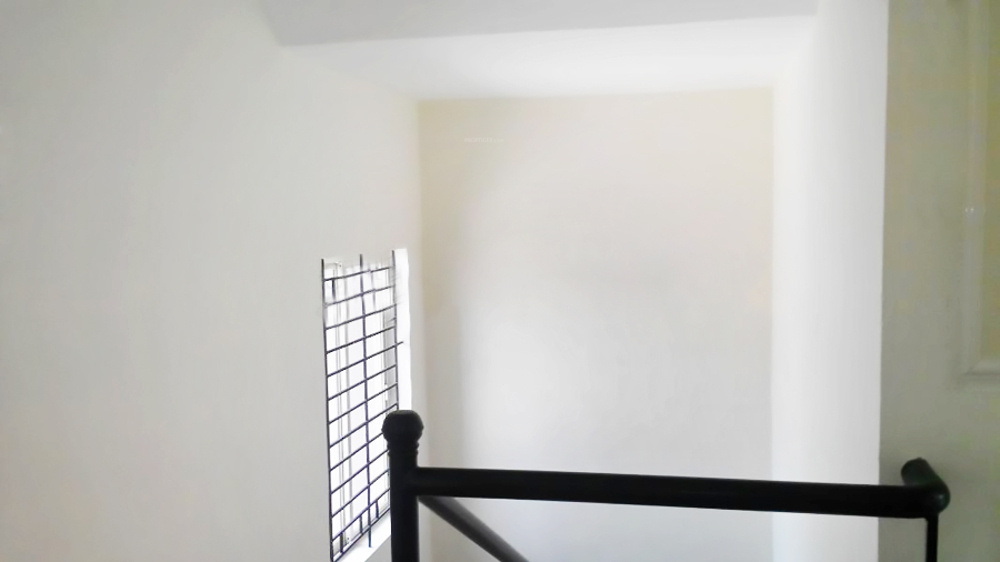 coral group atius Main Other