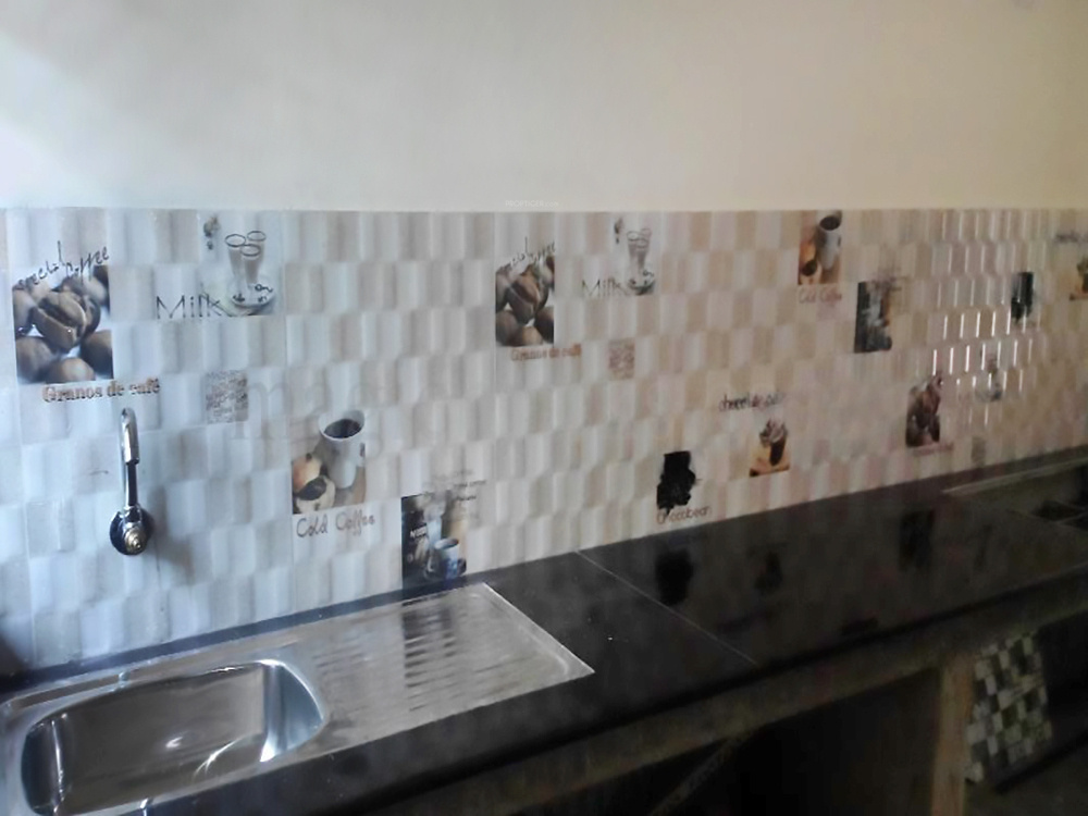 coral group atius Main Other