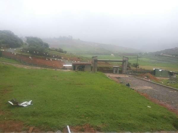  maple woods Images for Main Other of MCB Maple Woods