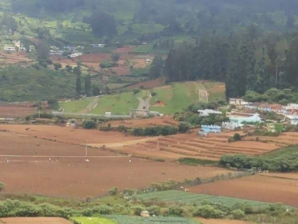  maple woods Images for Main Other of MCB Maple Woods