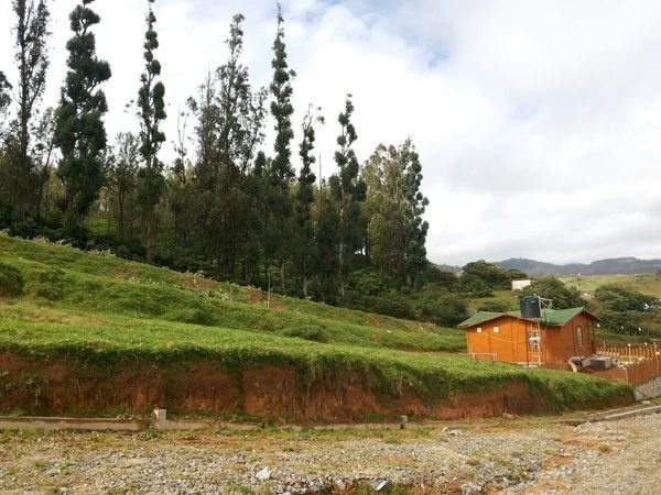  maple woods Images for Main Other of MCB Maple Woods