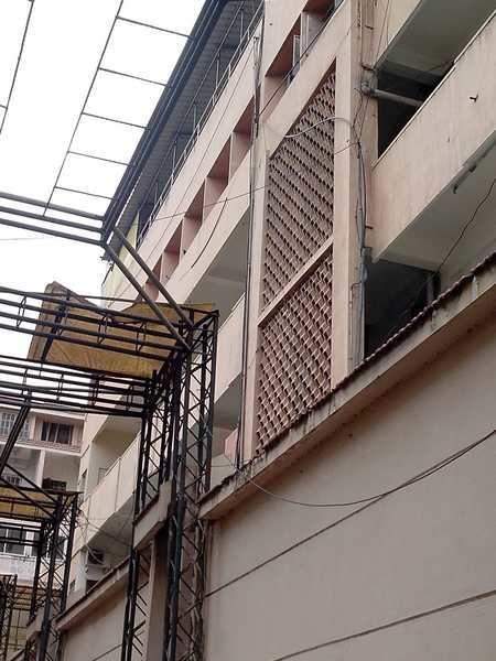  golden orchid Elevation