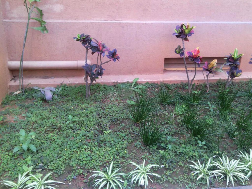 Images for Amenities of Imperial Builders Solace