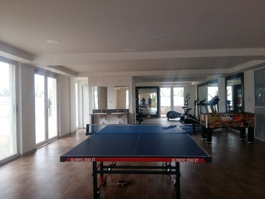 pleasanta Table Tennis