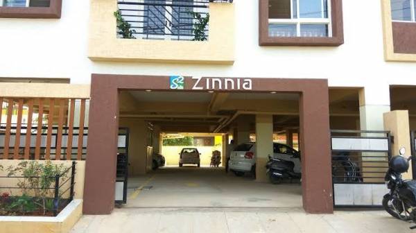 Others zinnia Others