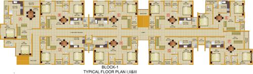 Images for Cluster Plan of Coral Auriga auriga Images for Cluster Plan of Coral Auriga