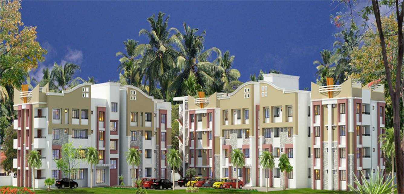 Images for Elevation of Coral Auriga auriga Images for Elevation of Coral Auriga