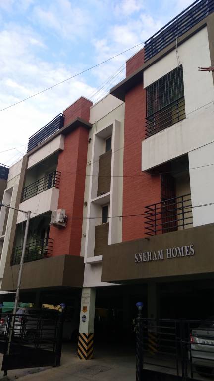 sneham homes Elevation