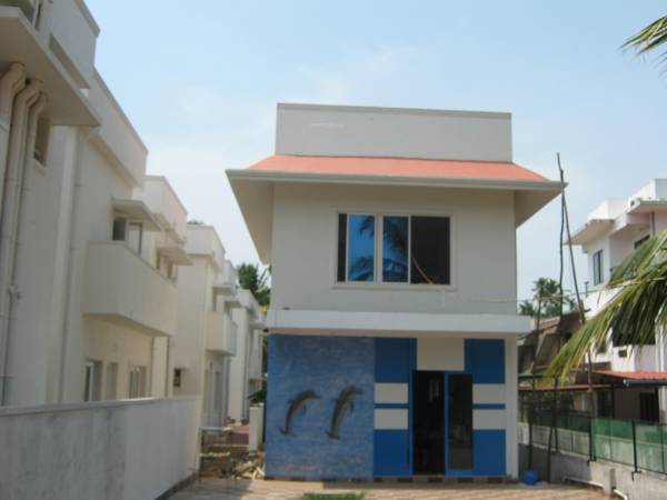 Main Other coral-group olympus Main Other