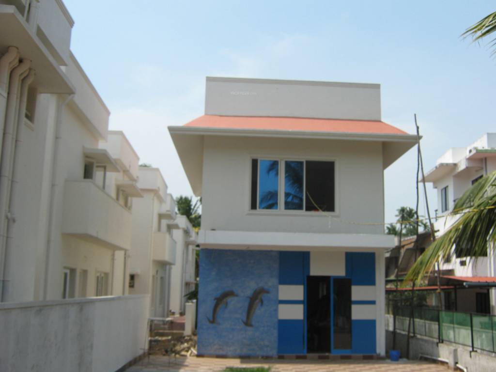 coral group olympus Main Other