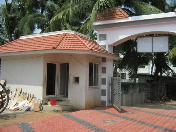 Main Other coral-group olympus Main Other