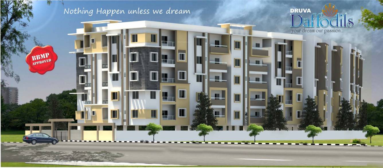  daffodils Images for Elevation of Druva Daffodils