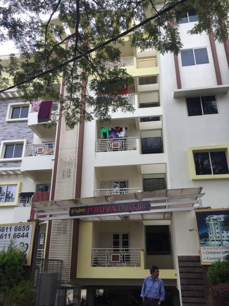  daffodils Images for Project