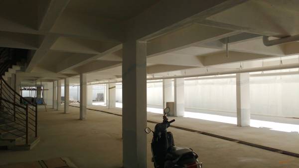  daffodils Car Parking