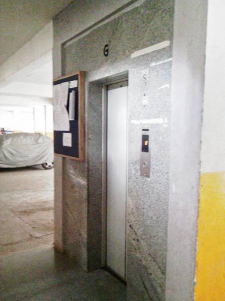 Images for Main Other of Pyramid Green Woods